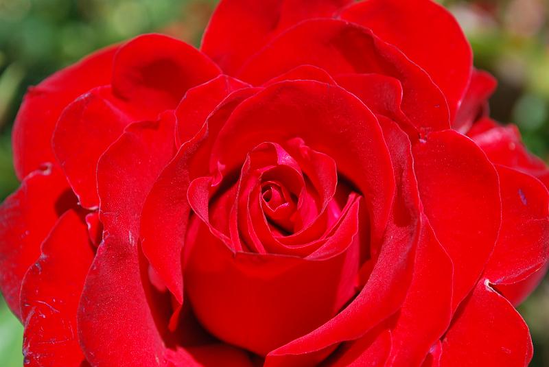 DSC_0038.JPG