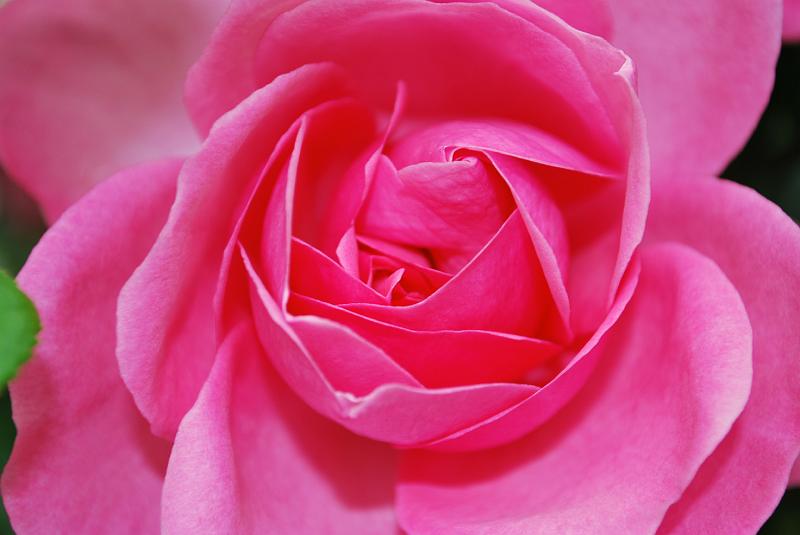 DSC_0551.JPG