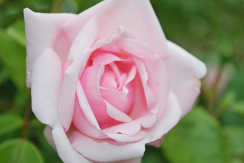 DSC_0589.JPG