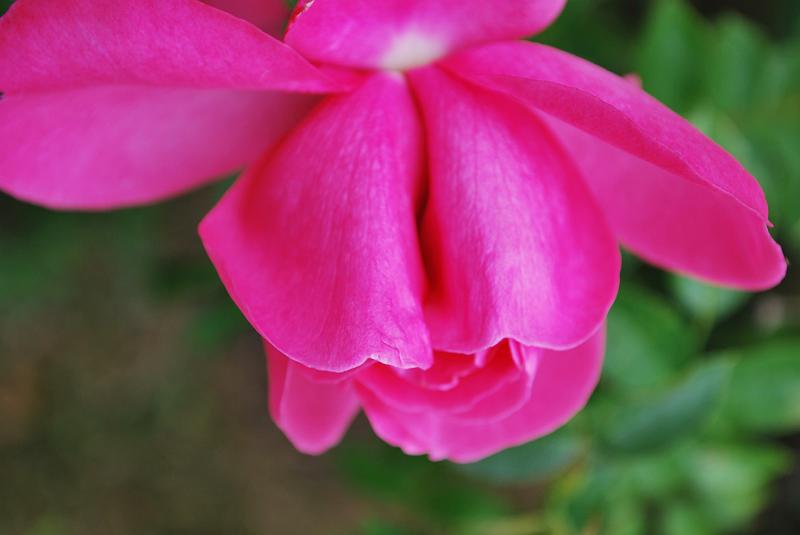 DSC_0592.JPG