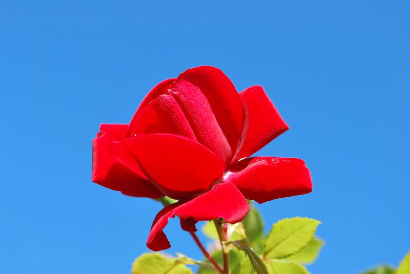 DSC_0728.JPG