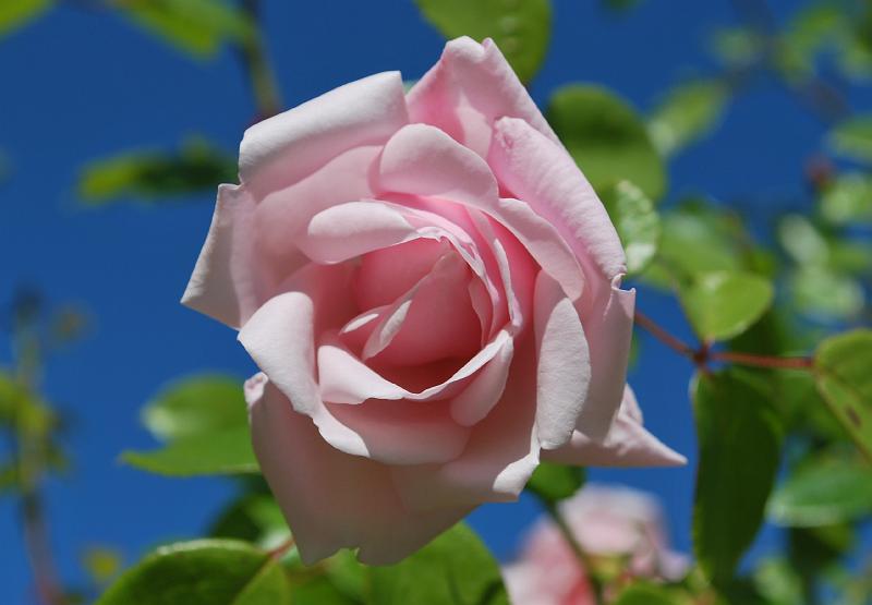 DSC_0766.JPG