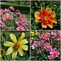 Flowers_Botan21