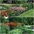 Flowers_Botan23