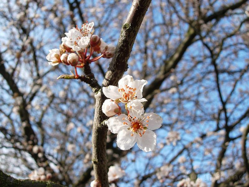 DSCN4778.JPG
