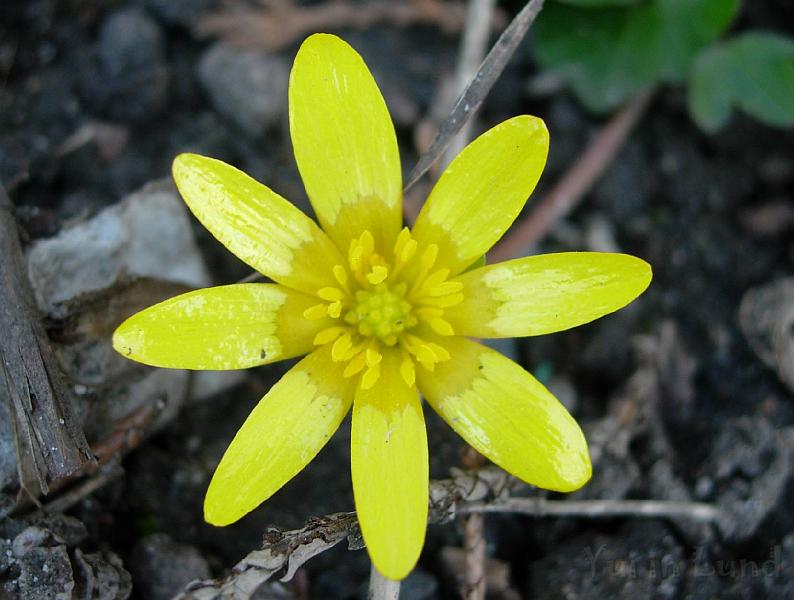 DSCN4981.JPG