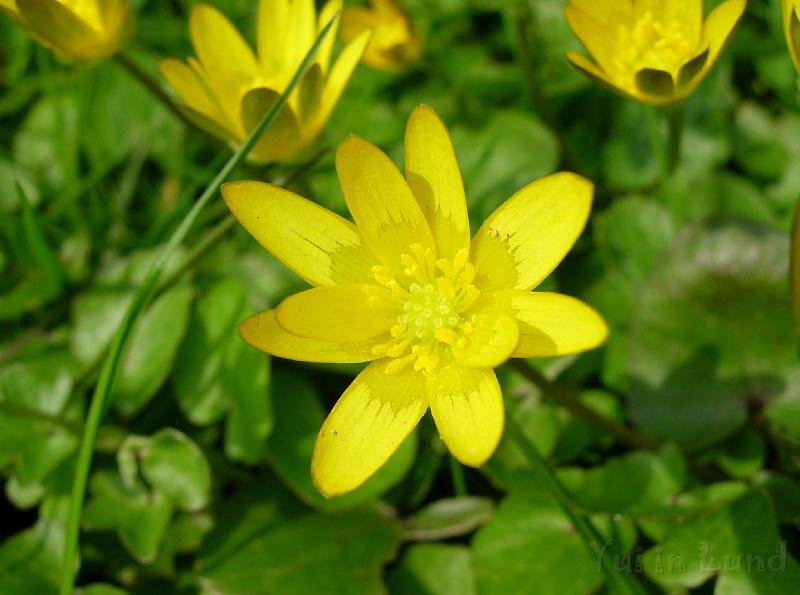 DSCN5038.JPG