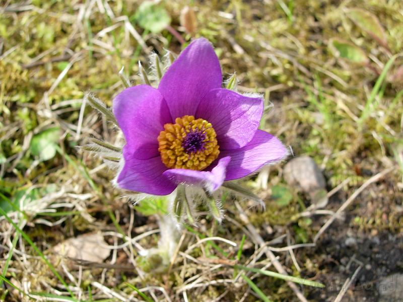 DSCN5065.JPG
