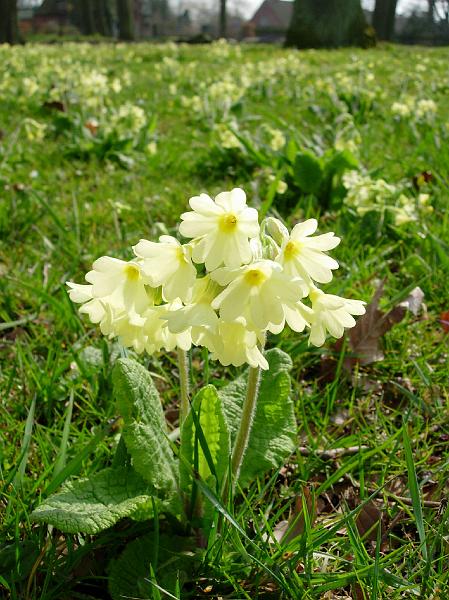 DSCN5066.JPG