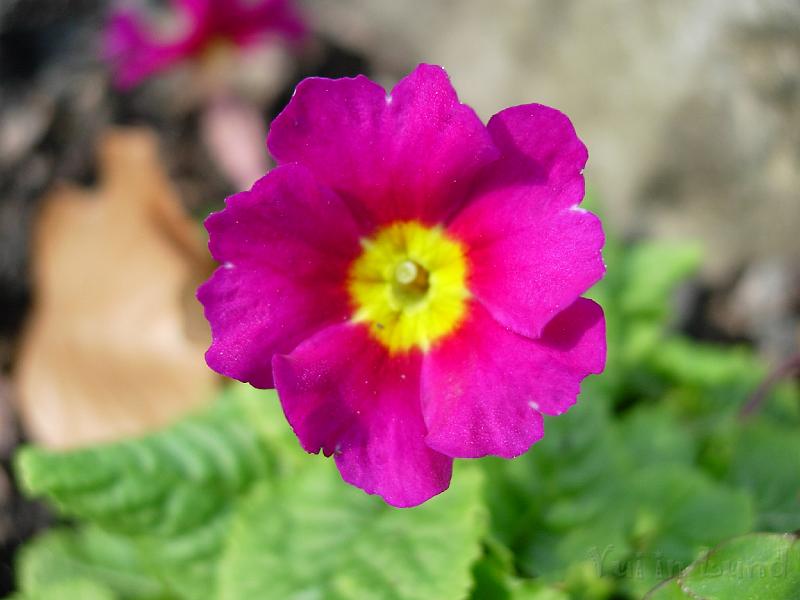 DSCN5094.JPG