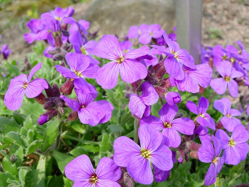 DSCN5114.JPG