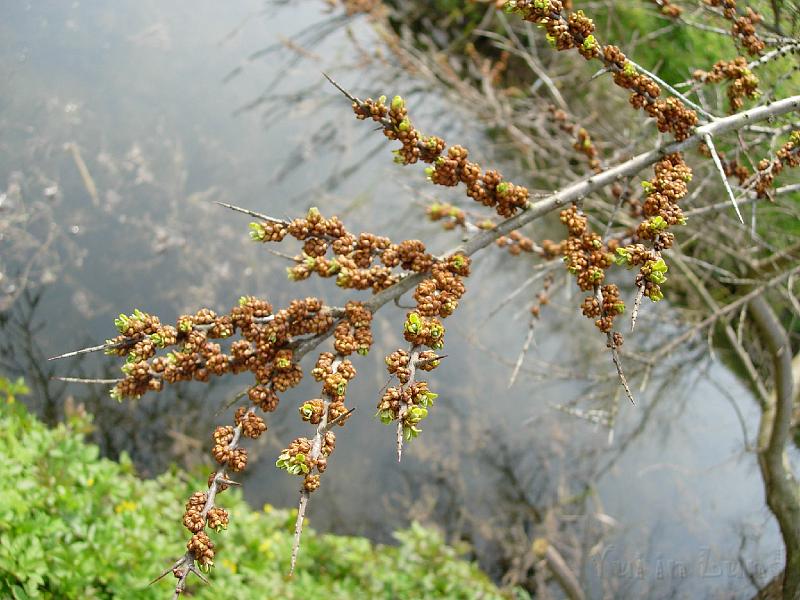 DSCN5118.JPG