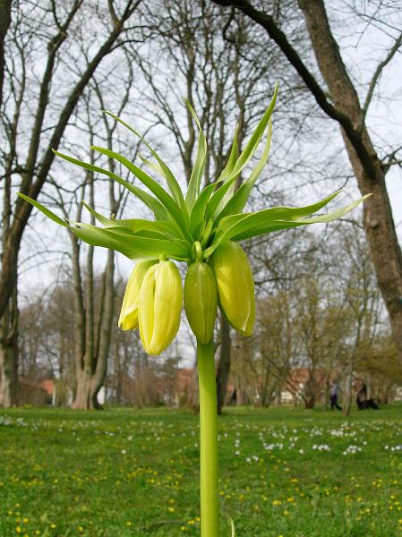 DSCN5164.JPG