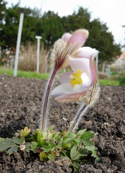 DSCN5190.JPG