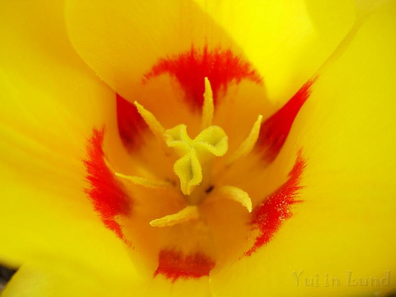 DSCN5214.JPG