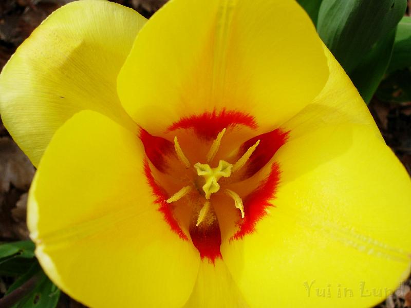 DSCN5217.JPG