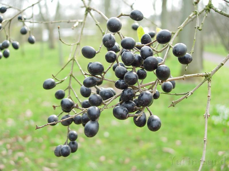 DSCN5227.JPG