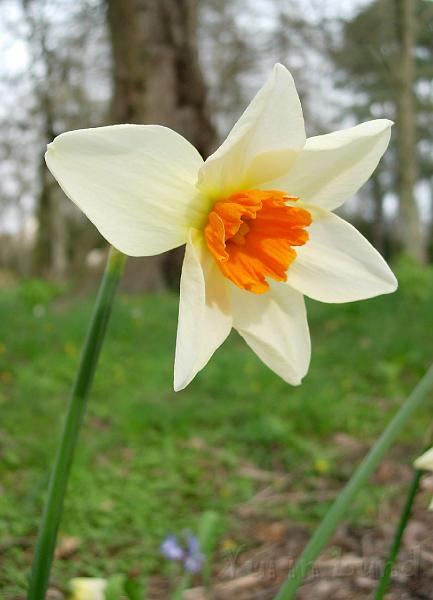 DSCN5252.JPG