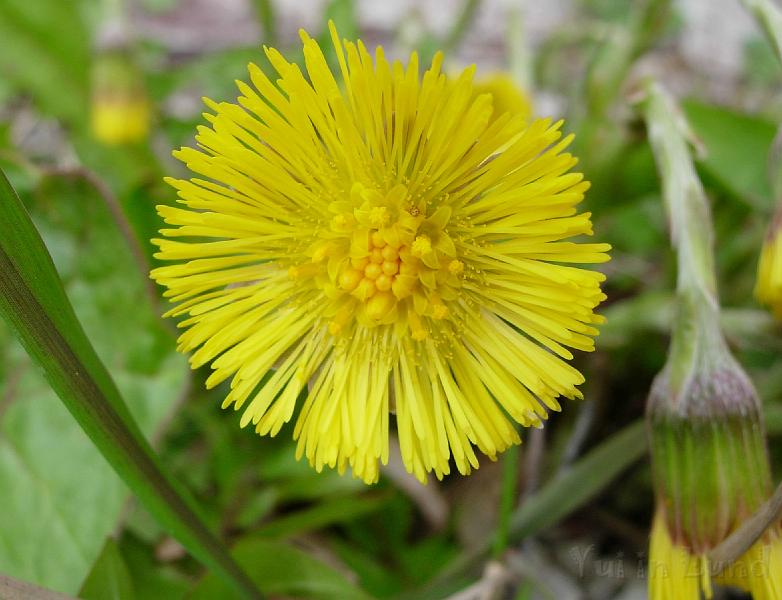 DSCN5256.JPG