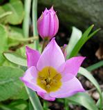 DSCN5095