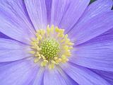DSCN5139
