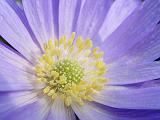 DSCN5147