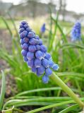 DSCN5180