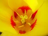 DSCN5214