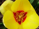 DSCN5217