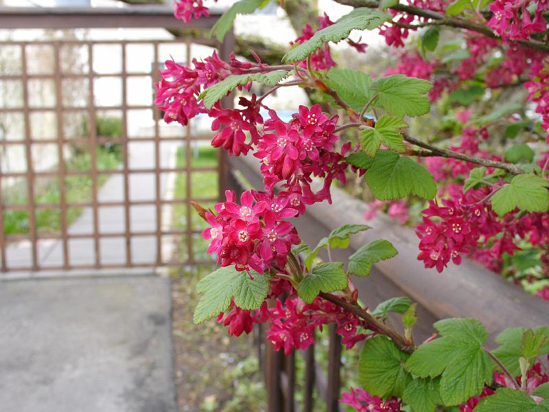 DSC02029.JPG