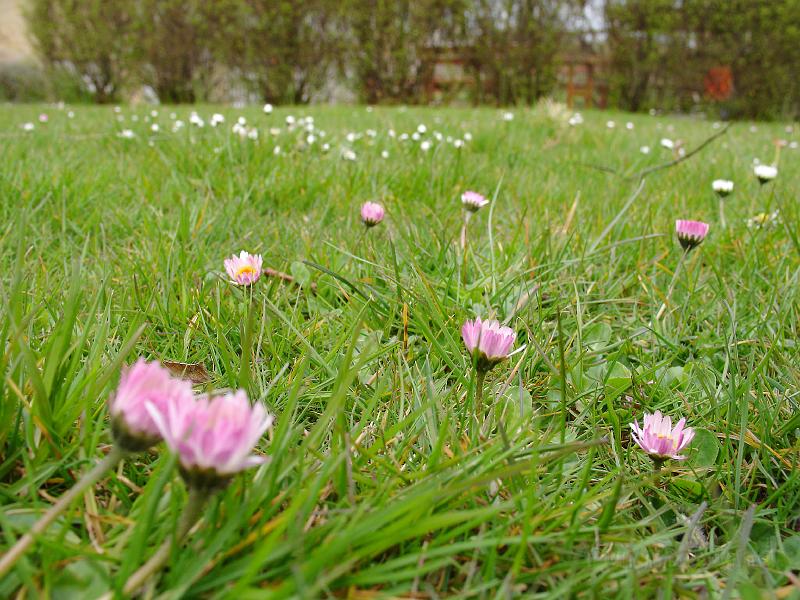 DSC02111.JPG