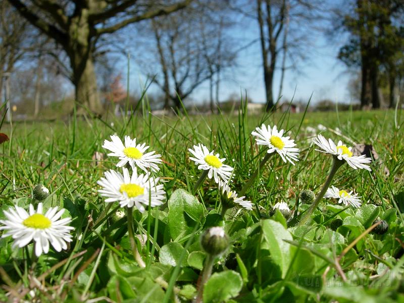 DSCN5301.JPG