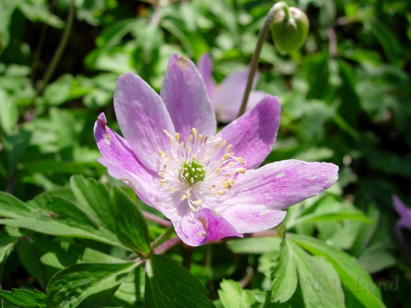 DSCN5307.JPG