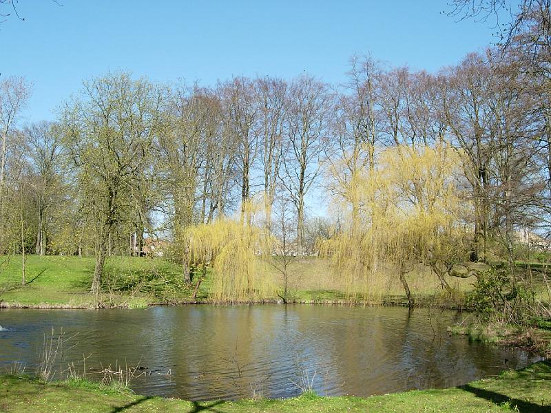 DSCN5322.JPG