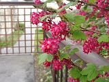 DSC02029