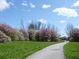 DSC02137