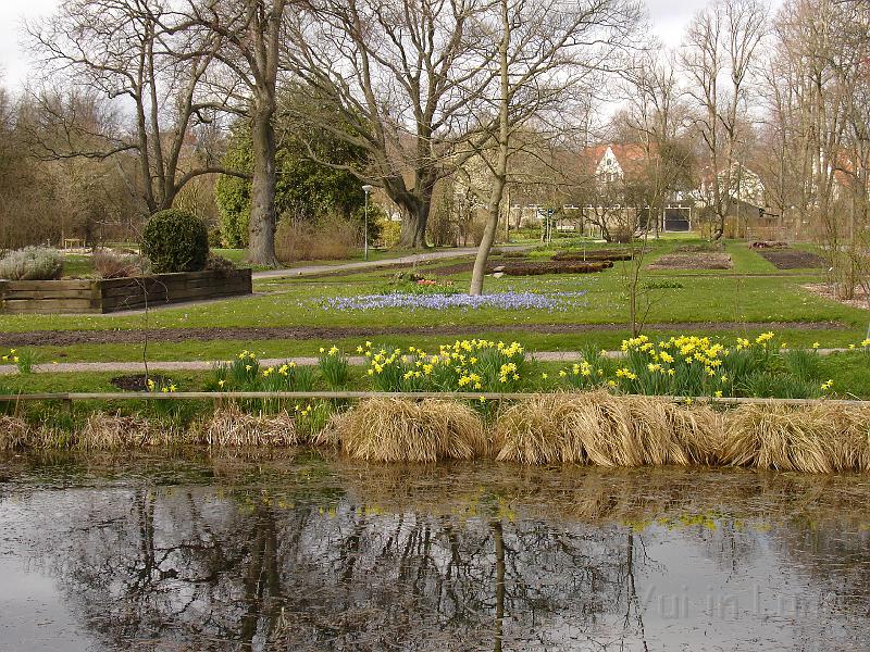 DSC00814.JPG - Botanisk trädgård