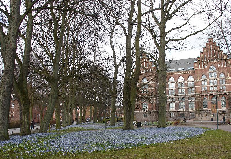 DSC00857.JPG - Framför Universitetsbiblioteket