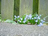 DSCN4720