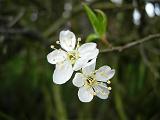 DSCN4742