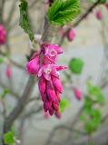 DSCN4761
