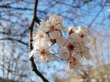 DSCN4770