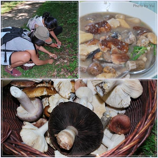 Plockar_svamp36.jpg - มีความสุข สมใจที่อยากมานานสักที... ขอบคุณทุกคนนะจ๊ะ