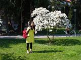 Botan28042008_02