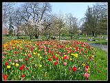 Botan28042008_04