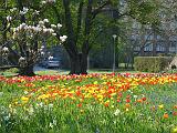 Botan28042008_12