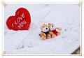 Love-2009-02