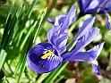 BeautyOfSpring22