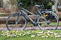 BeautyOfSpring23