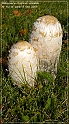 05Dec2009-22